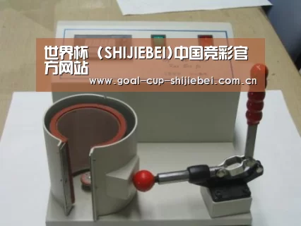 世界杯下注案例展示六